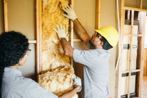 Best Blown-in Insulation  in New Braunfels, TX