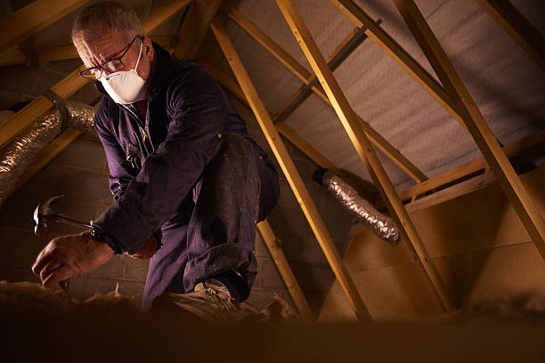 Best Attic Insulation Installation  in New Braunfels, TX