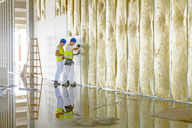 Best Insulation for New Construction  in New Braunfels, TX